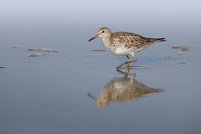 BUITEN BEELD Foto: 443186