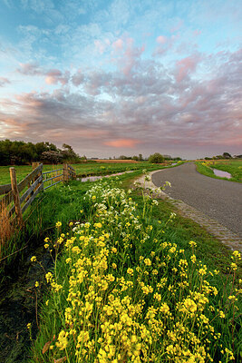 BUITEN BEELD Foto: 443266