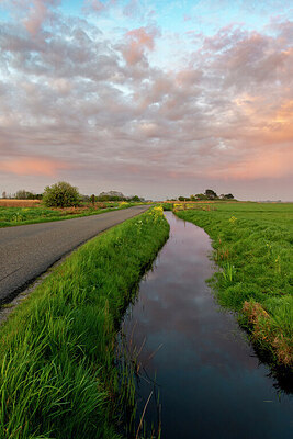BUITEN BEELD Foto: 443267