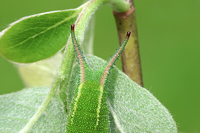 BUITEN BEELD Foto: 443277