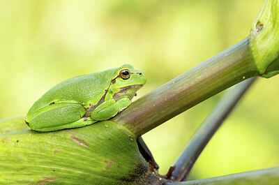 BUITEN BEELD Foto: 443283