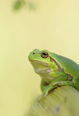 BUITEN BEELD Foto: 443286