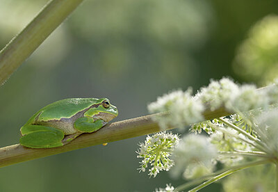 BUITEN BEELD Foto: 443289