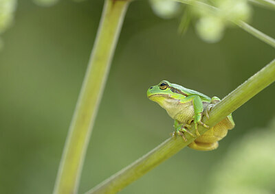 BUITEN BEELD Foto: 443290