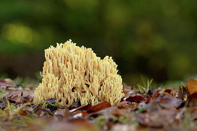 BUITEN BEELD Foto: 443302