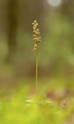 BUITEN BEELD Foto: 443351
