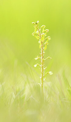 BUITEN BEELD Foto: 443364