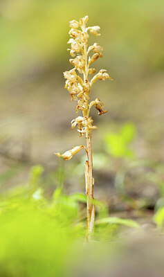 BUITEN BEELD Foto: 443390