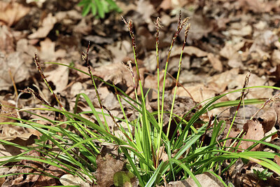 BUITEN BEELD Foto: 443427