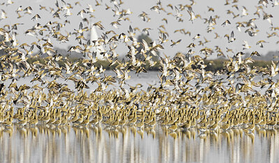 BUITEN BEELD Foto: 443502