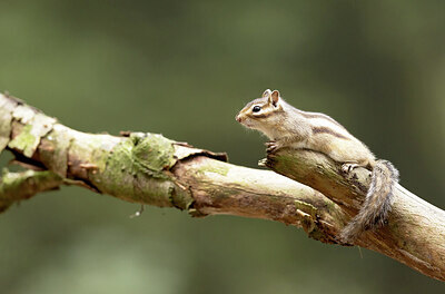 BUITEN BEELD Foto: 443532
