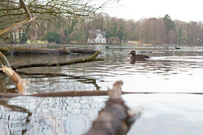 BUITEN BEELD Foto: 443672