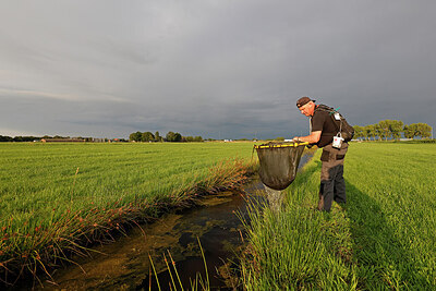 BUITEN BEELD Foto: 443844