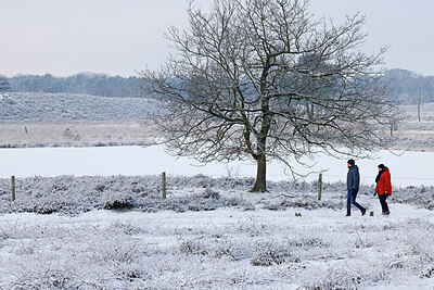 BUITEN BEELD Foto: 443846