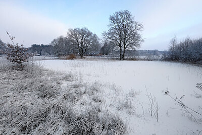 BUITEN BEELD Foto: 443851