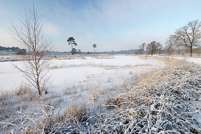 BUITEN BEELD Foto: 443852