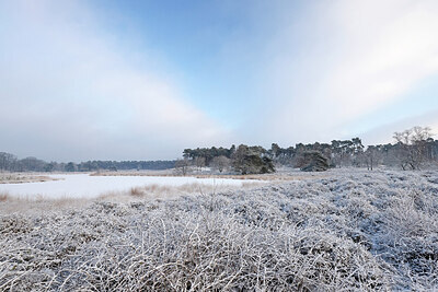 BUITEN BEELD Foto: 443854
