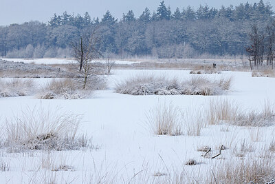 BUITEN BEELD Foto: 443857