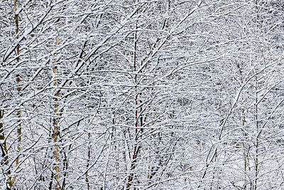 BUITEN BEELD Foto: 443864