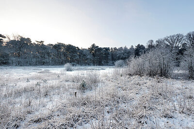 BUITEN BEELD Foto: 443866