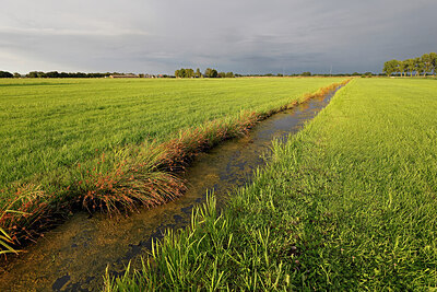 BUITEN BEELD Foto: 443872
