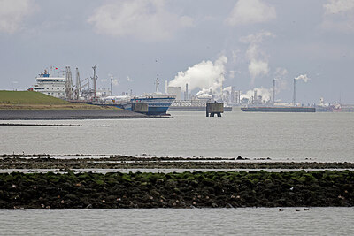 BUITEN BEELD Foto: 443873