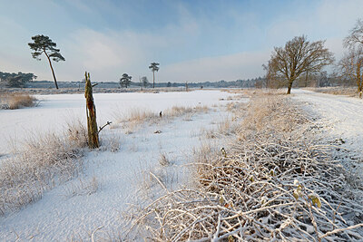 BUITEN BEELD Foto: 443881