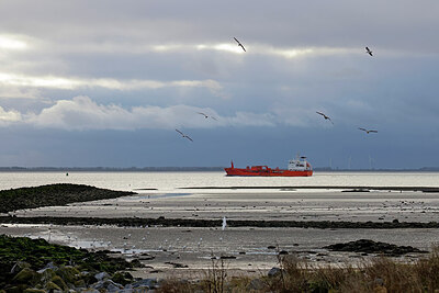 BUITEN BEELD Foto: 443882