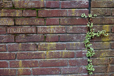 BUITEN BEELD Foto: 443936