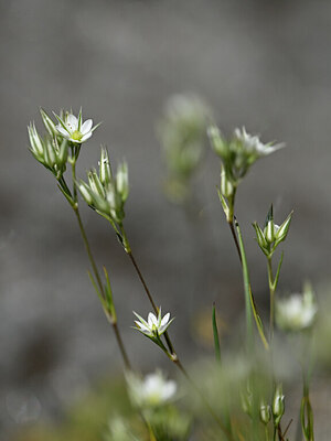 BUITEN BEELD Foto: 444028