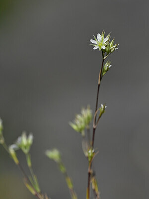 BUITEN BEELD Foto: 444035