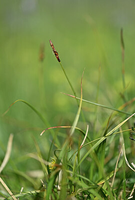 BUITEN BEELD Foto: 444037