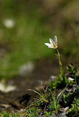 BUITEN BEELD Foto: 444044