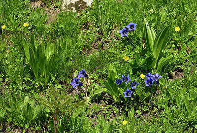 BUITEN BEELD Foto: 444048
