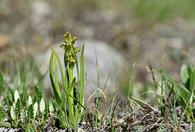 BUITEN BEELD Foto: 444050