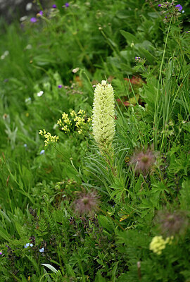 BUITEN BEELD Foto: 444060