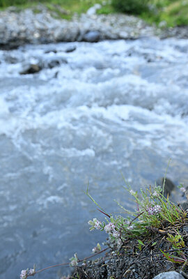 BUITEN BEELD Foto: 444068