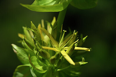 BUITEN BEELD Foto: 444070