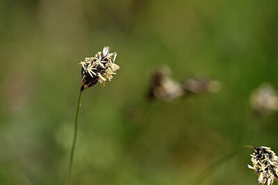 BUITEN BEELD Foto: 444077