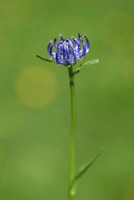 BUITEN BEELD Foto: 444078