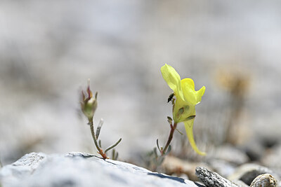 BUITEN BEELD Foto: 444079