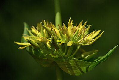 BUITEN BEELD Foto: 444083
