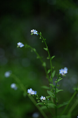 BUITEN BEELD Foto: 444084