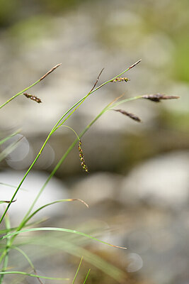 BUITEN BEELD Foto: 444095