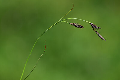 BUITEN BEELD Foto: 444098