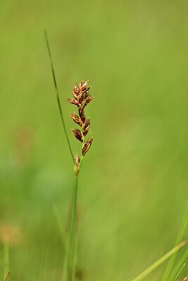 BUITEN BEELD Foto: 444104