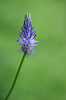BUITEN BEELD Foto: 444106