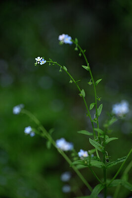 BUITEN BEELD Foto: 444123