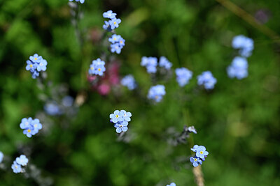BUITEN BEELD Foto: 444132