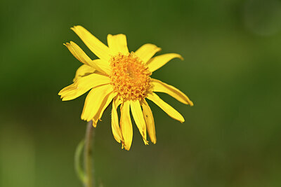 BUITEN BEELD Foto: 444135
